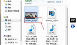 视频后缀,探索不同格式背后的技术奥秘