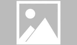 杏红视频,揭秘生活美好瞬间，感受人间烟火气